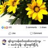 ayekhaingmoe0