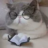 phuonggoodboi