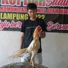 fikrisahlan07
