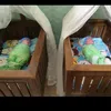 al.twins10