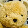 inu1009
