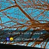 hama_xabaty29