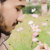afaqahmad8001