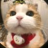 khanhnhu_9402