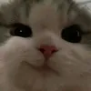 clark_ie1