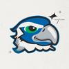 blitztheseahawk