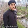 layaqanuar