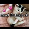 goodfortunech64