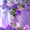 user941319259