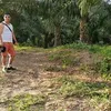 witmancharlesmalo