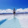 nicox65_