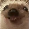sewerrat96