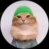 ahmed_12207