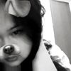 dvfcvaaa