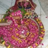 avinashdhaker6343