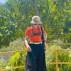 hoa_thien_ly_96