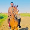 user903390536