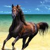 eigelstar1979