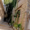 shnamhamad33