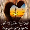 ghazifaisalalawili
