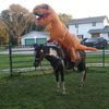 knottyourordinaryfarm