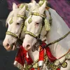 💖 یا  دوست  💝