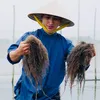Đào Hữu Quý