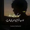 waleedanwarjutt