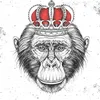 kingmonkey8945