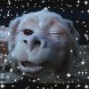ponyporkk