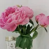 linou_832