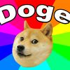 gucci_doge