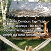 shintachomell......3