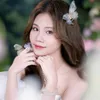 hai_anh310