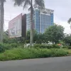 tanbuust