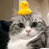 your_weaaakness
