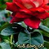 janaki88876