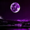 _rafat__