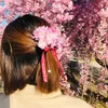candytrang53