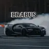 brabus.tgs