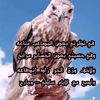 fahad.alshamari1