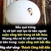 chan_thien_nhan_1