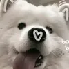 minhtruc65