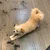 comtymdaikhoo