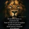 user614072401