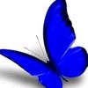 user6045208112173