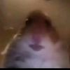 cxcapwabel