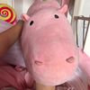 bigbigunicorn1