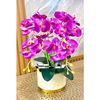 malla_1312