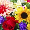 lilieduquatorze
